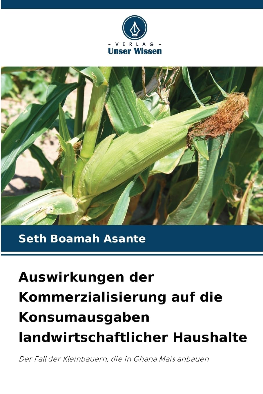 Auswirkungen der Kommerzialisierung auf die Konsumausgaben landwirtschaftlicher Haushalte Natural Sciences