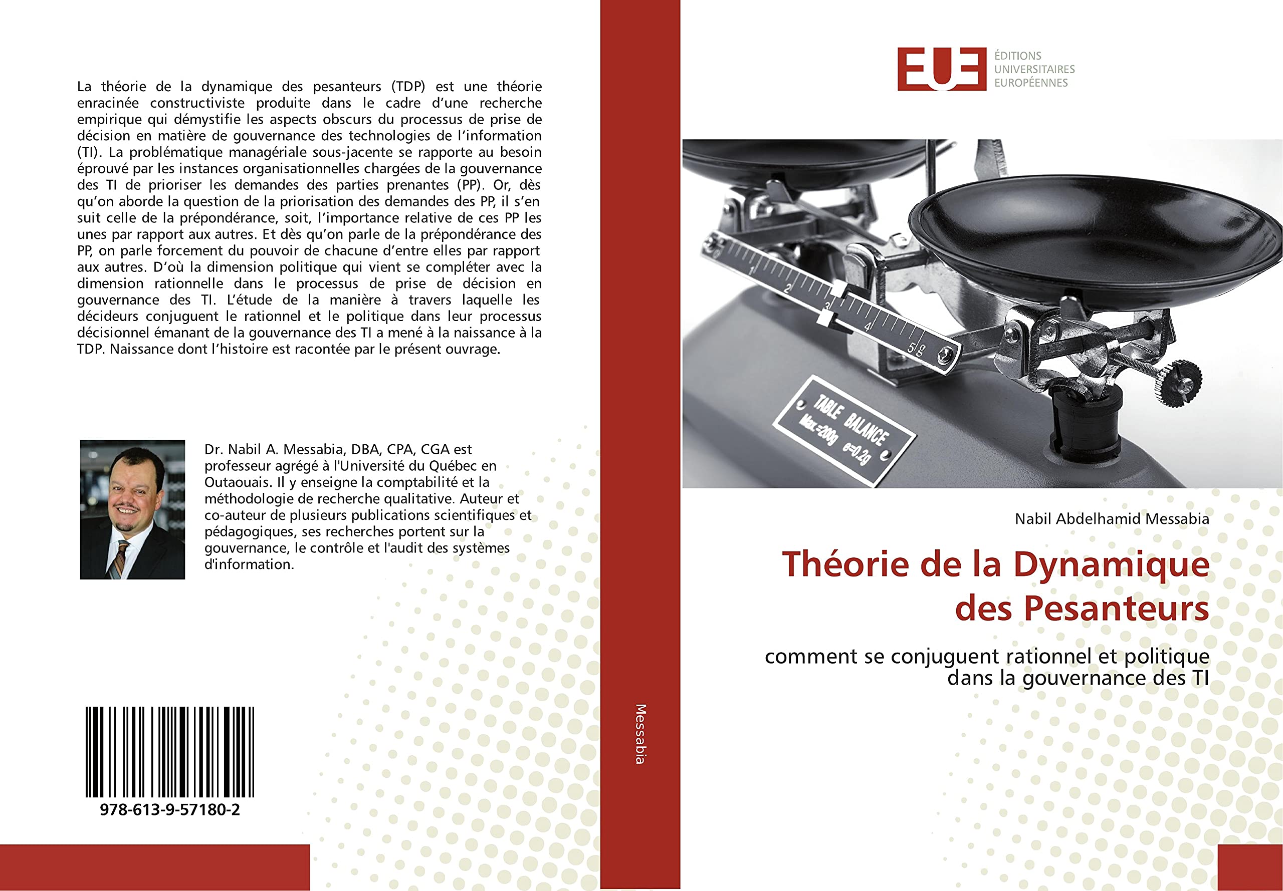Théorie de la Dynamique des Pesanteurs: comment se conjuguent rationnel et politique dans la gouvernance des TI book