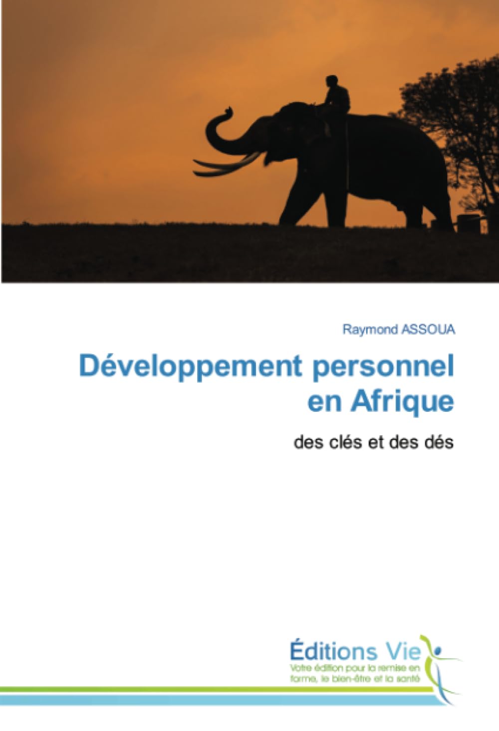 Développement personnel en Afrique: des clés et des dés book