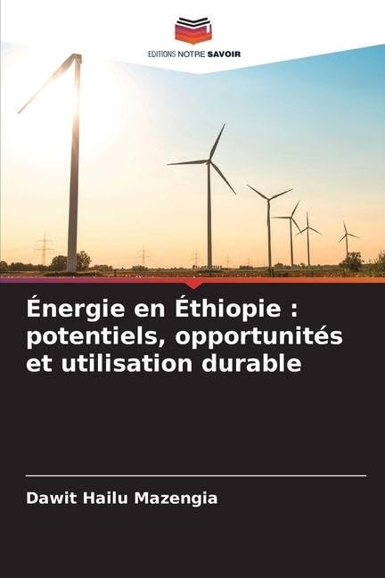 Énergie en Éthiopie : potentiels, opportunités et utilisation durable: DE Business & Technology