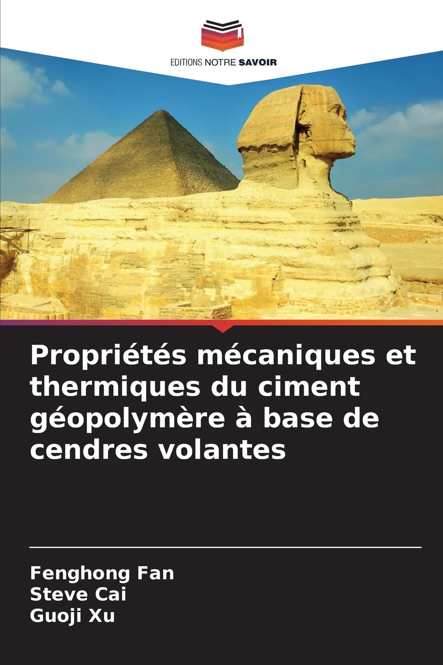 Propriétés mécaniques et thermiques du ciment géopolymère à base de cendres volantes Business & Technology