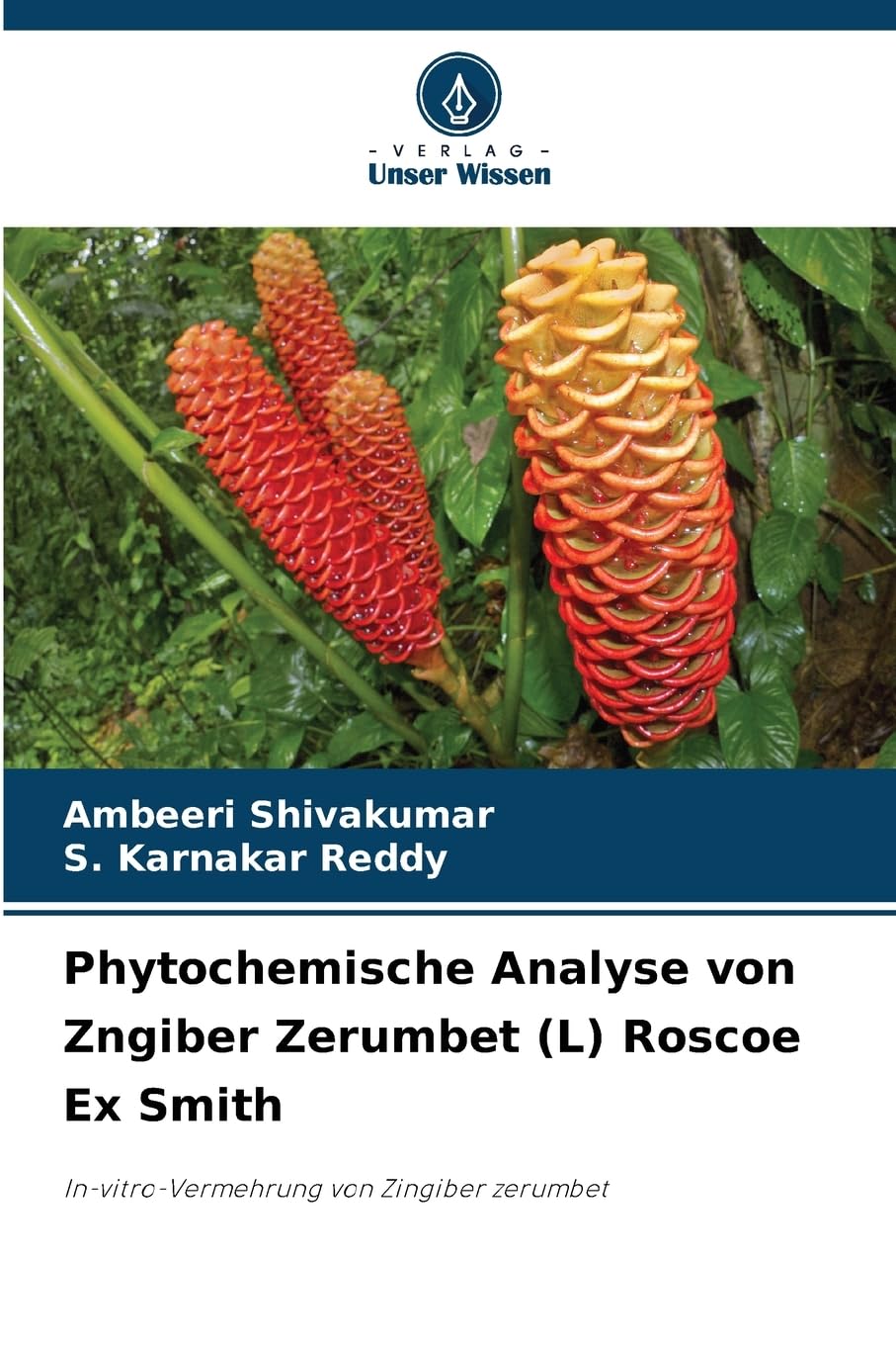 Phytochemische Analyse von Zngiber Zerumbet (L) Roscoe Ex Smith Medicine