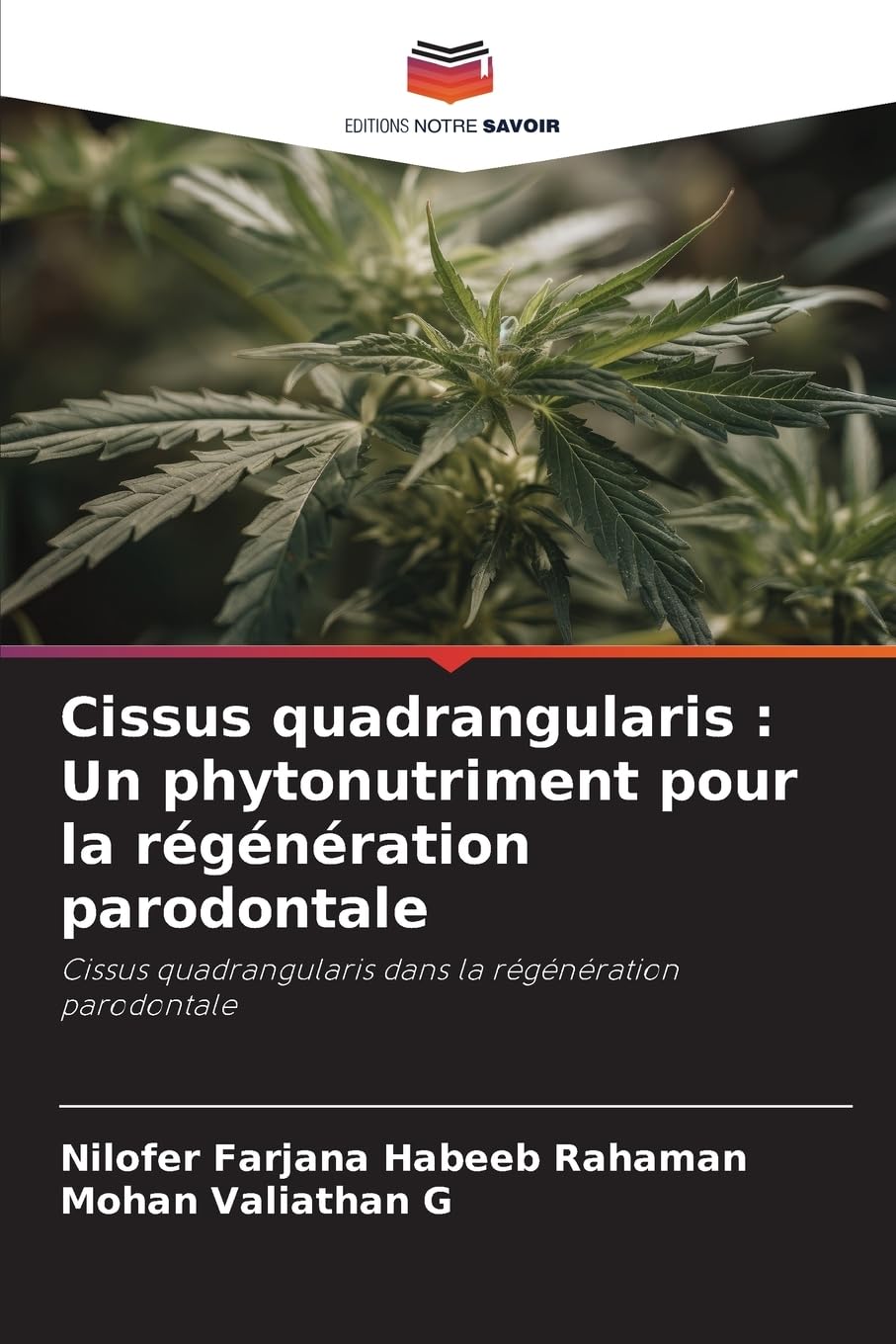 Cissus quadrangularis : Un phytonutriment pour la régénération parodontale: Cissus quadrangularis dans la régénération parodontale Medicine