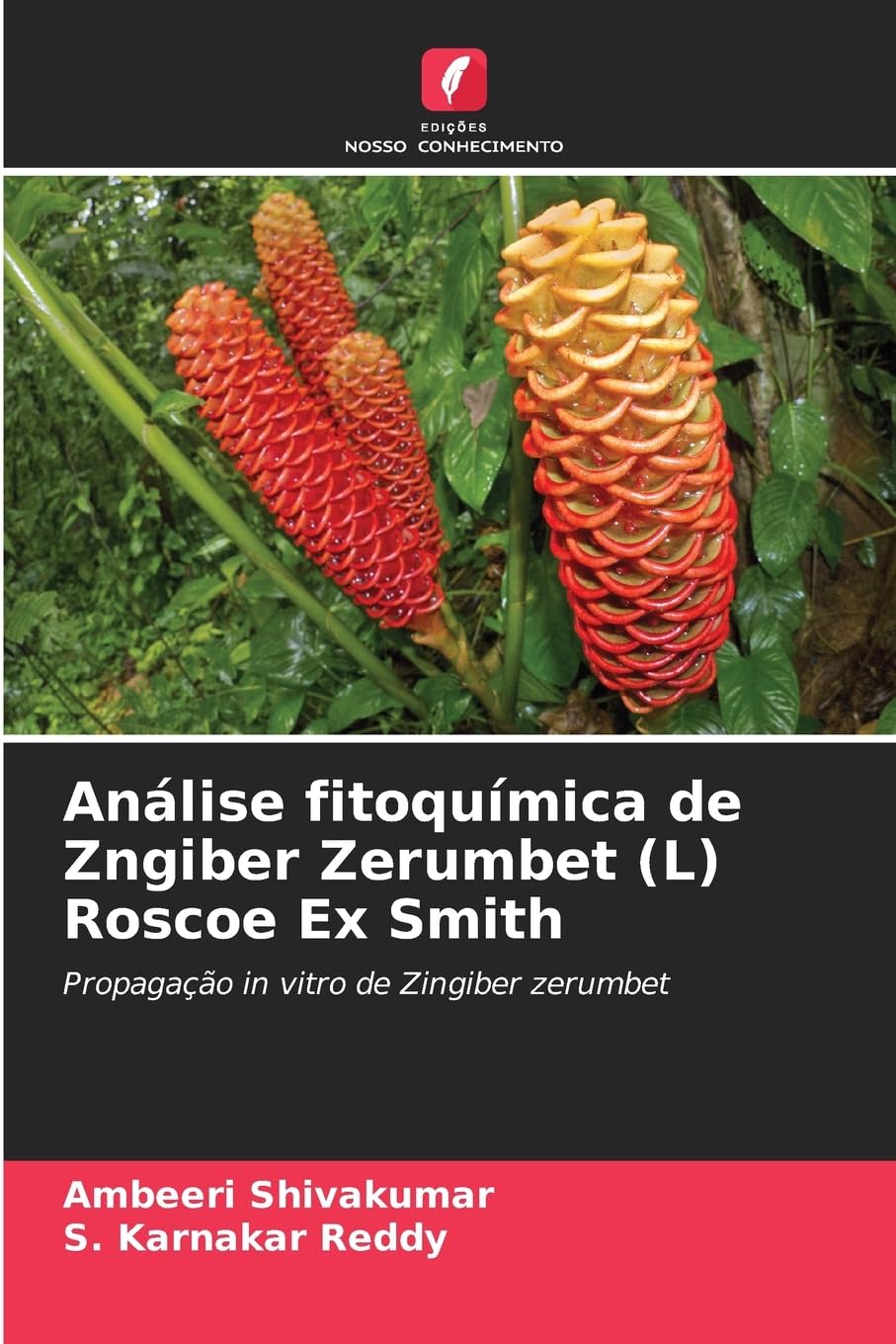 Análise fitoquímica de Zngiber Zerumbet (L) Roscoe Ex Smith Medicine
