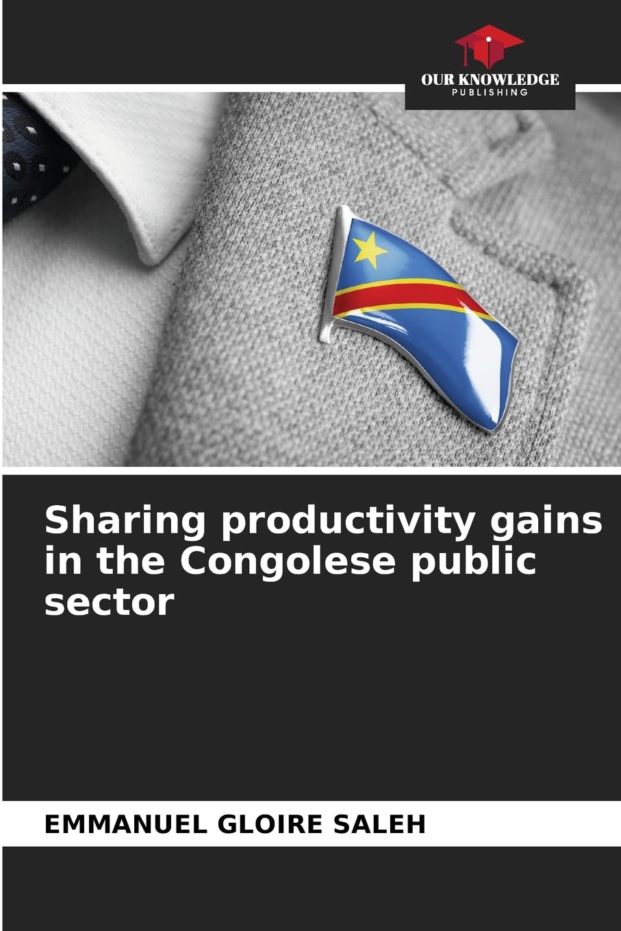 Sharing productivity gains in the Congolese public sector Law