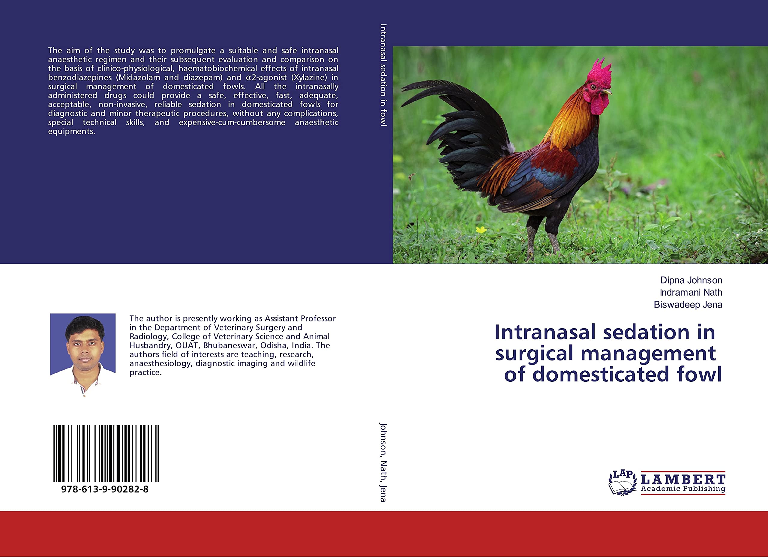 Intranasal sedation in surgical management of domesticated fowl Business, Finance & Career