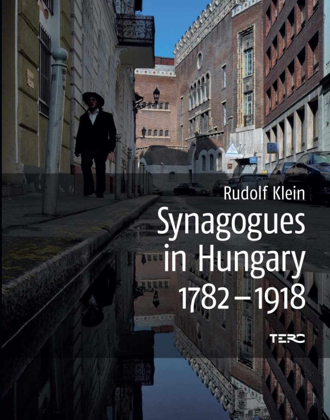Synagogues in Hungary 1782-1918: Genealogy, Typology and Architectural Signifiance book