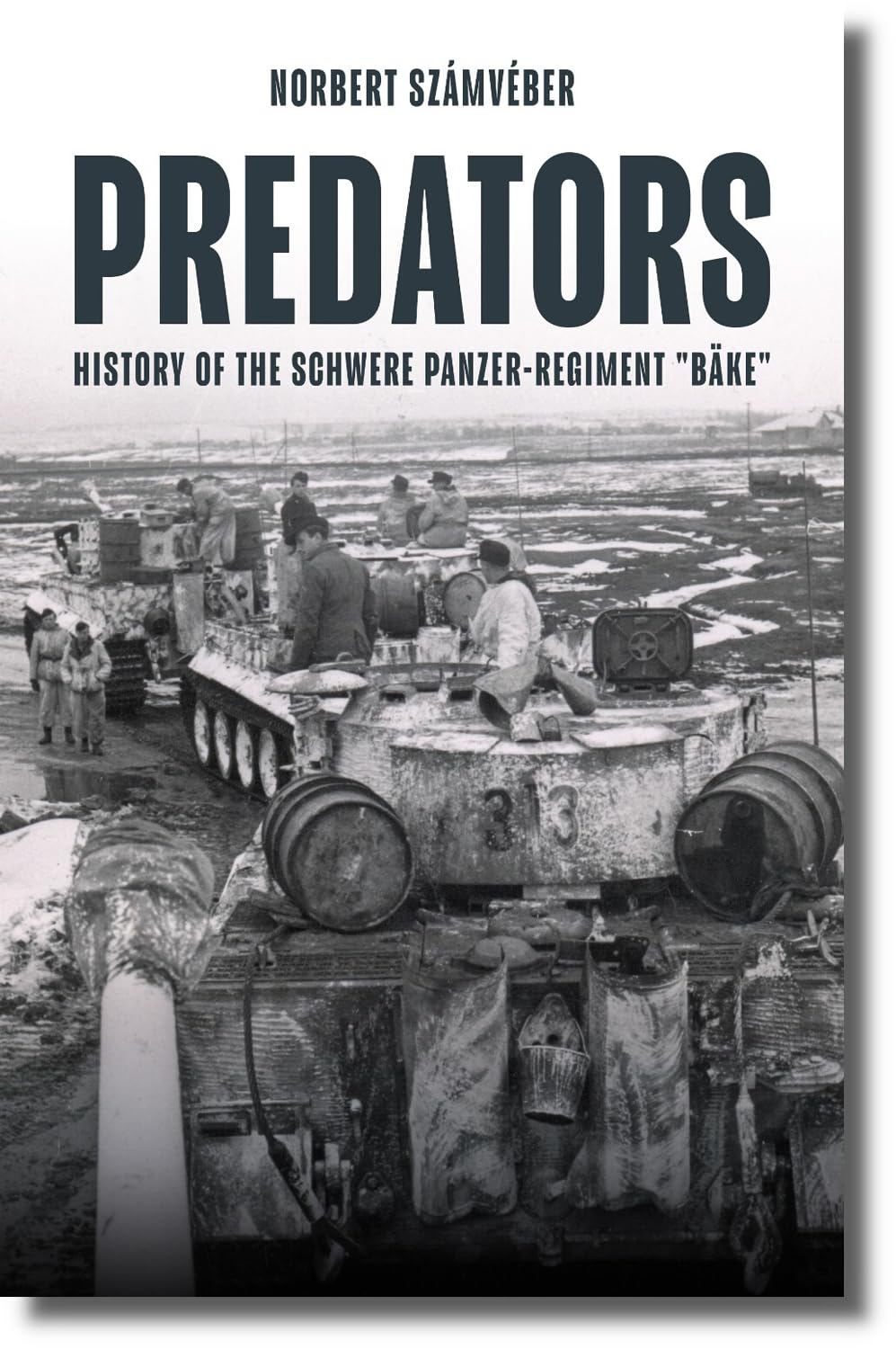 Predators: Combat History of Schweres Panzer-regiment Bäke Social Sciences