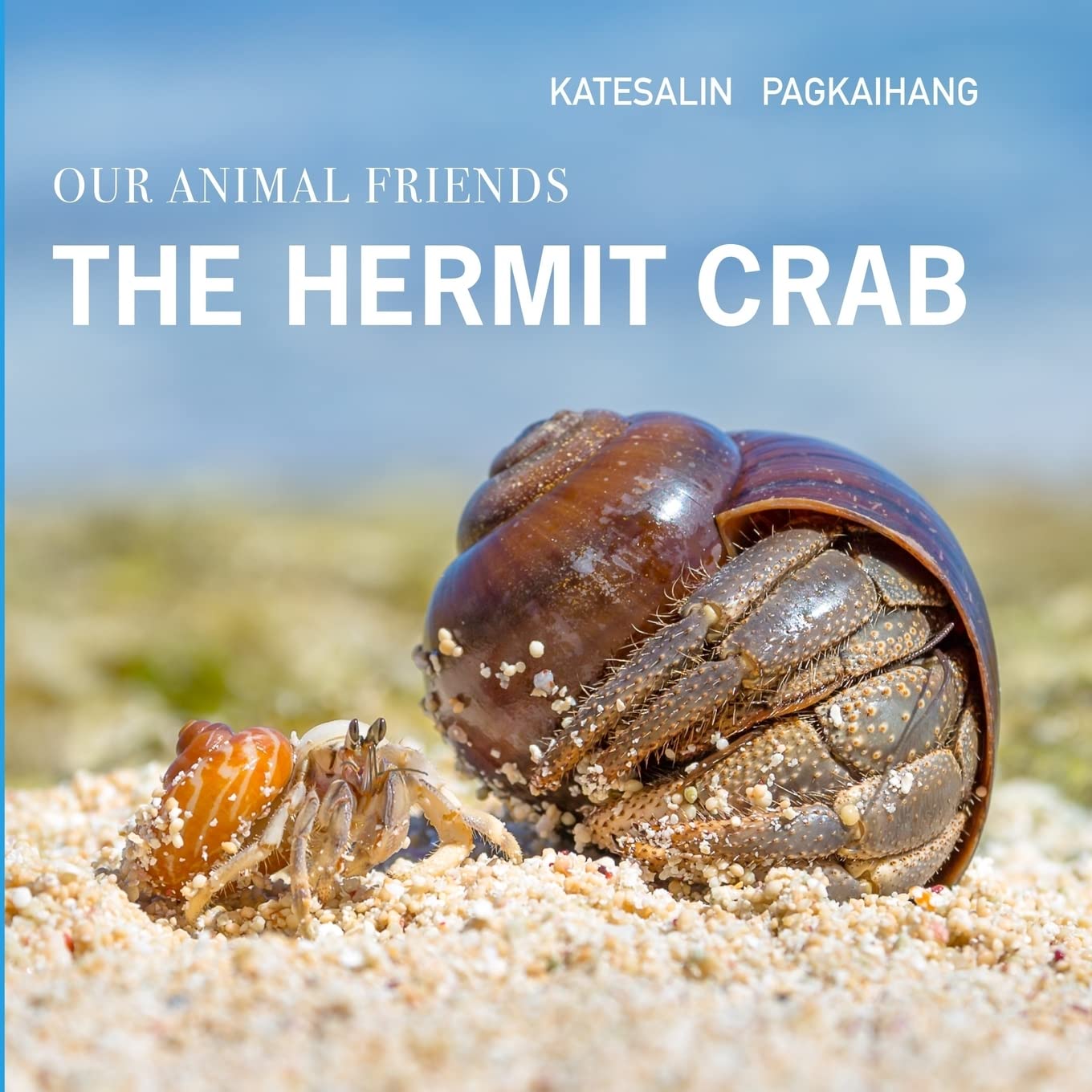 The Hermit Crab (Our Animal Friends) Non-fiction