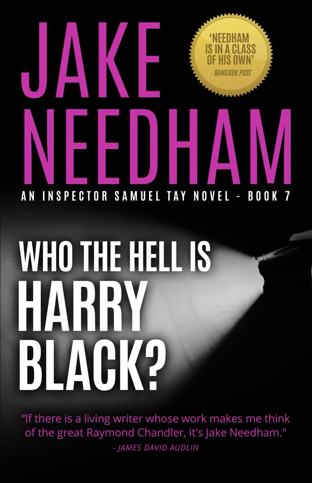 WHO THE HELL IS HARRY BLACK? (THE INSPECTOR SAMUEL TAY NOVELS, Band 7) Action & Adventure