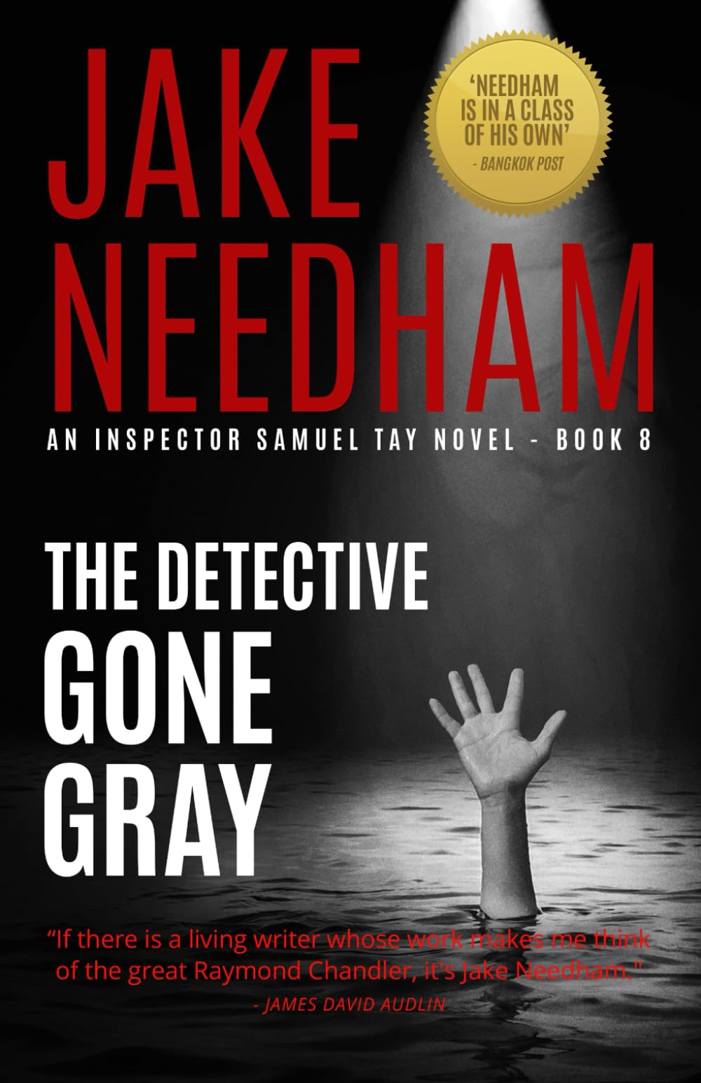THE DETECTIVE GONE GRAY (THE INSPECTOR SAMUEL TAY NOVELS, Band 8) Action & Adventure