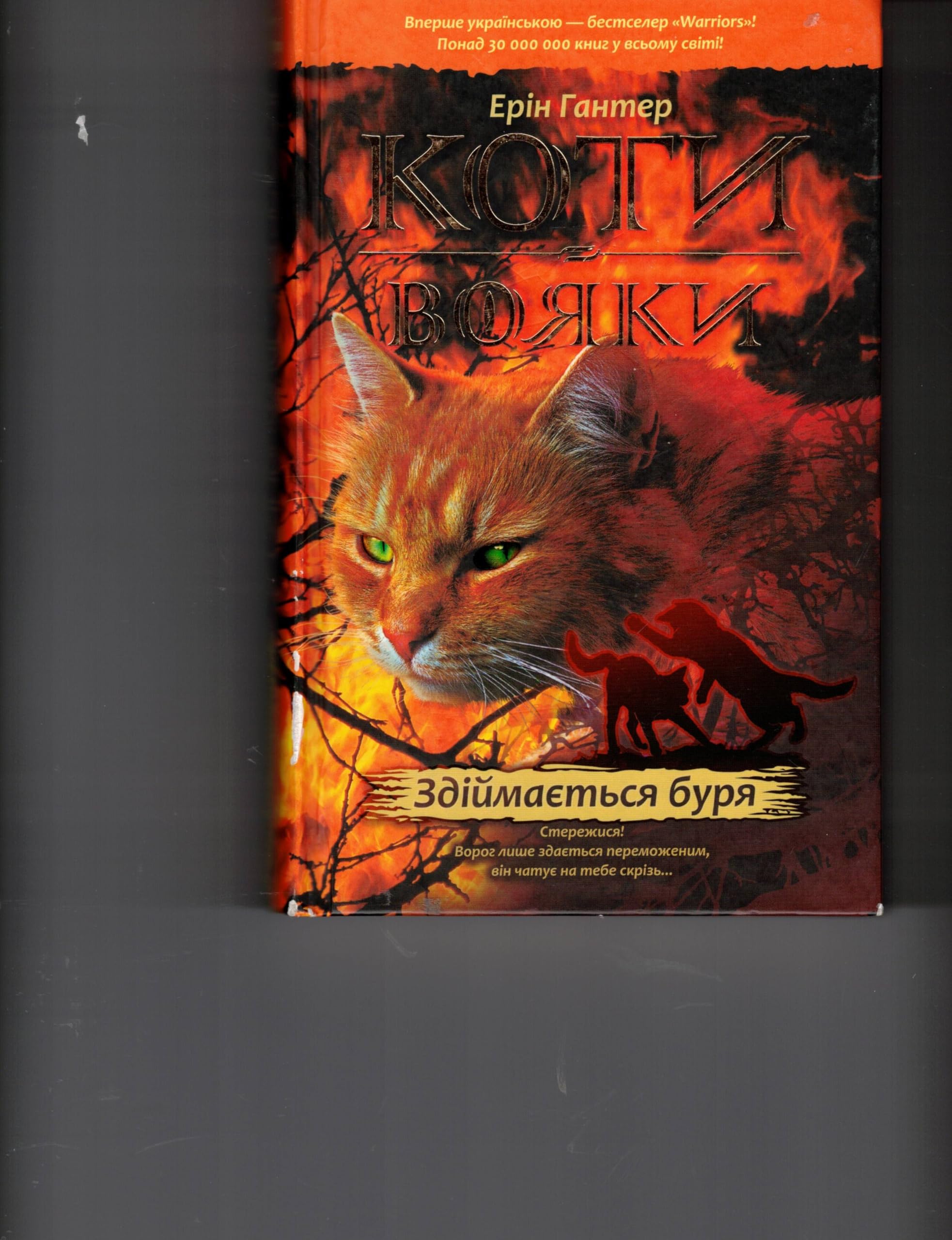 КОТИ-ВОЯКИ ЦИКЛ 1 КНИГА 4 ЗДІЙМАЄТЬСЯ БУРЯ Books