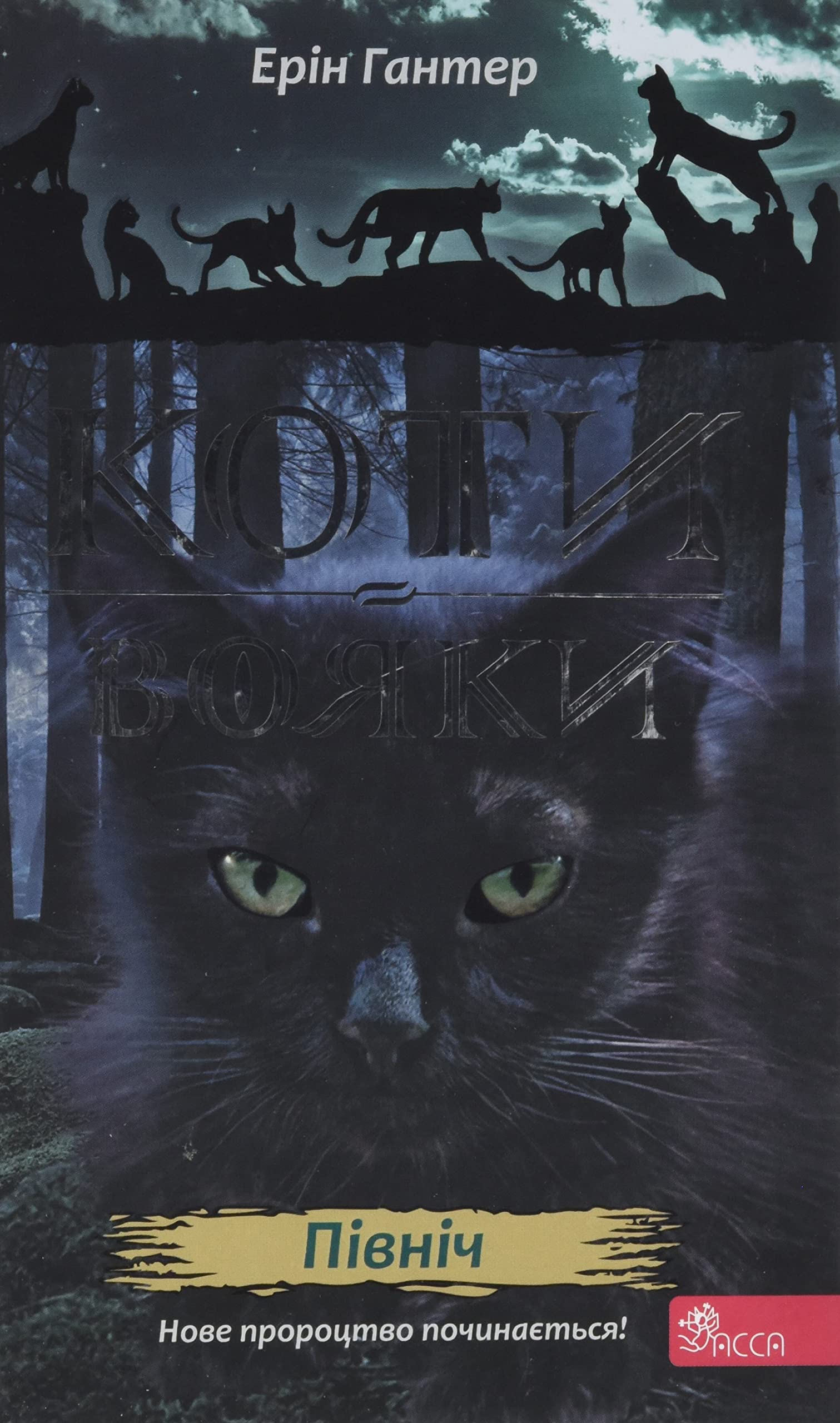 КОТИ-ВОЯКИ ЦИКЛ 2 КНИГА 1 ПІВНІЧ Books