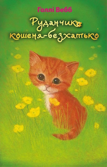 Руданчик — кошеня-безхатько Books