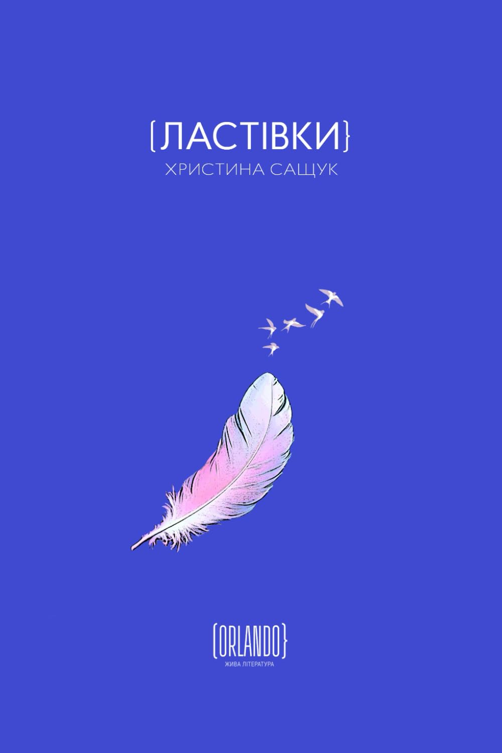 Ластівки: «Сучасна Попелюшка: як одна жінка змінює своє життя через мрії та боротьбу» Contemporary literature Books