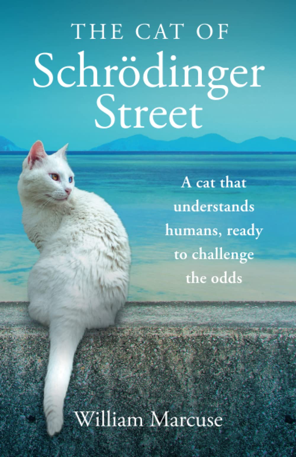 The Cat of Schrödinger Street: A cat that understands humans, ready to challenge the odds. Humour & Satire