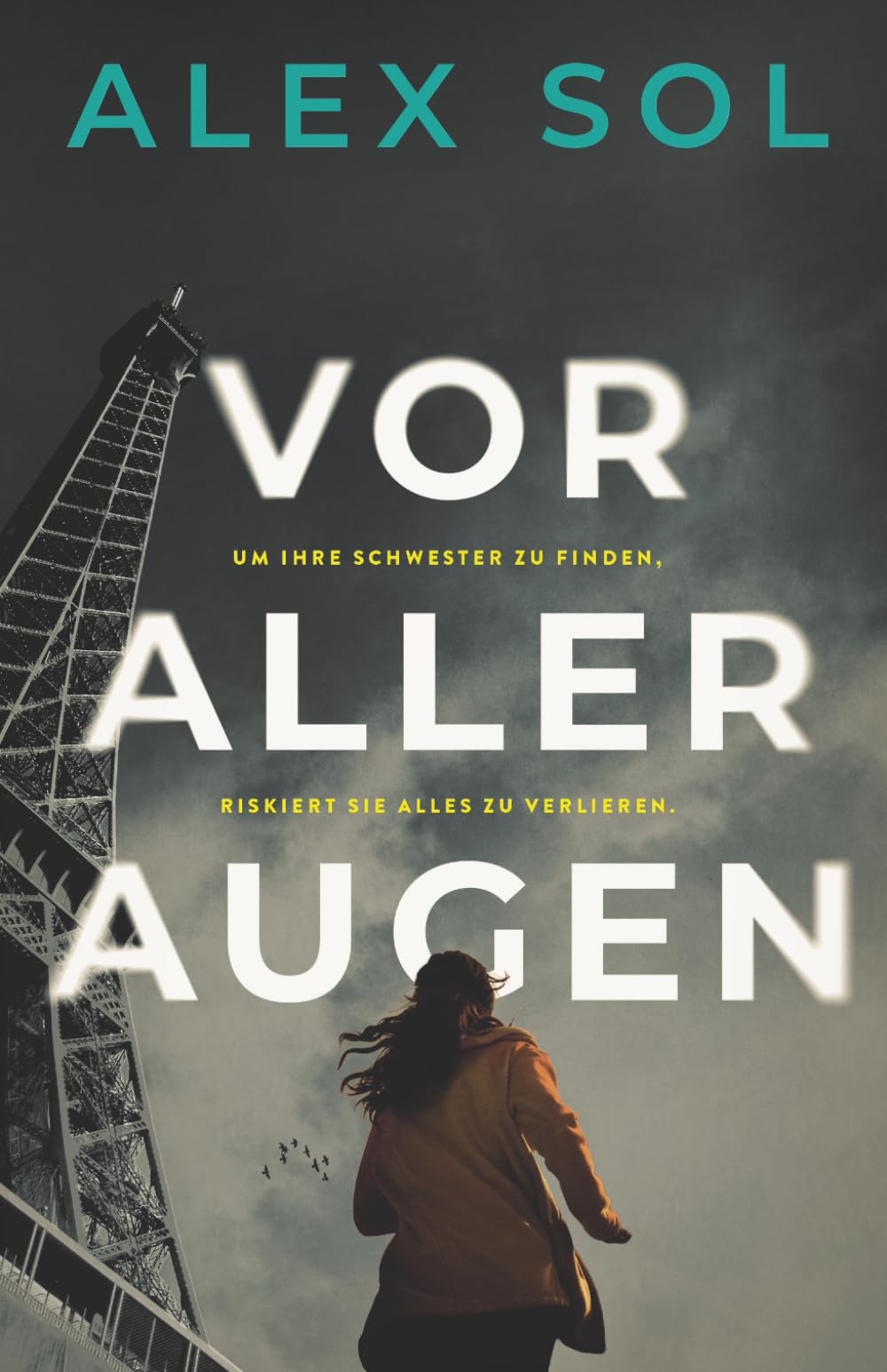 Vor aller Augen - Thriller (Lucas Liviens und Elise Duromain - Der Privatdetektiv und die Polizei) Detective & CSI