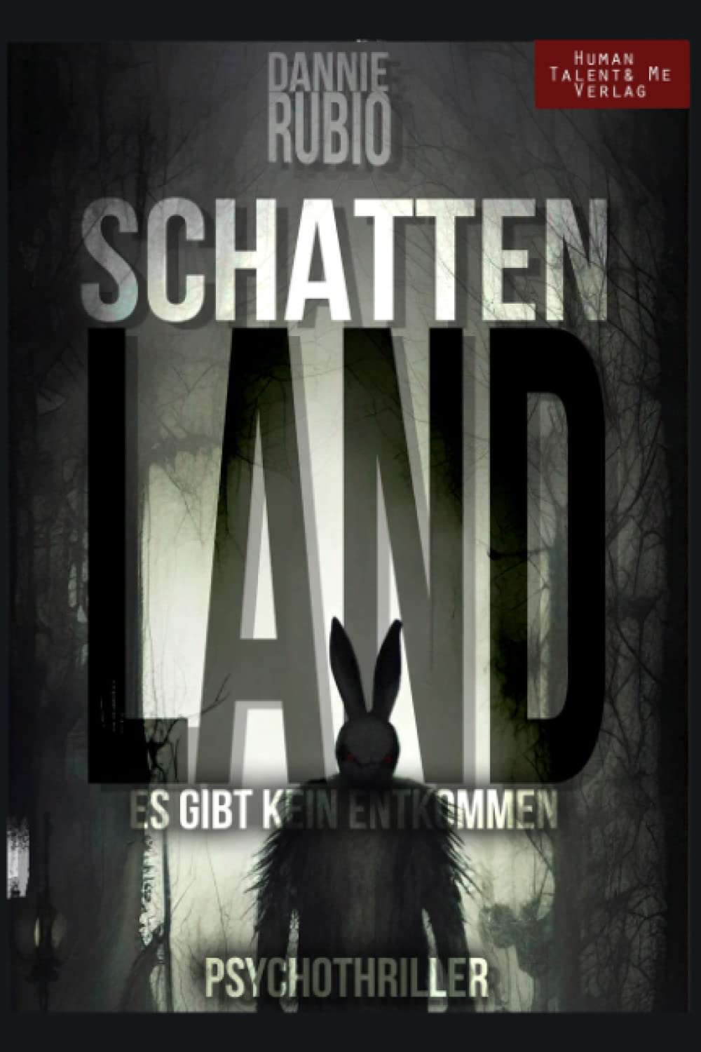 SCHATTENLAND: (Es gibt kein Entkommen) PSYCHOTHRILLER Contemporary literature