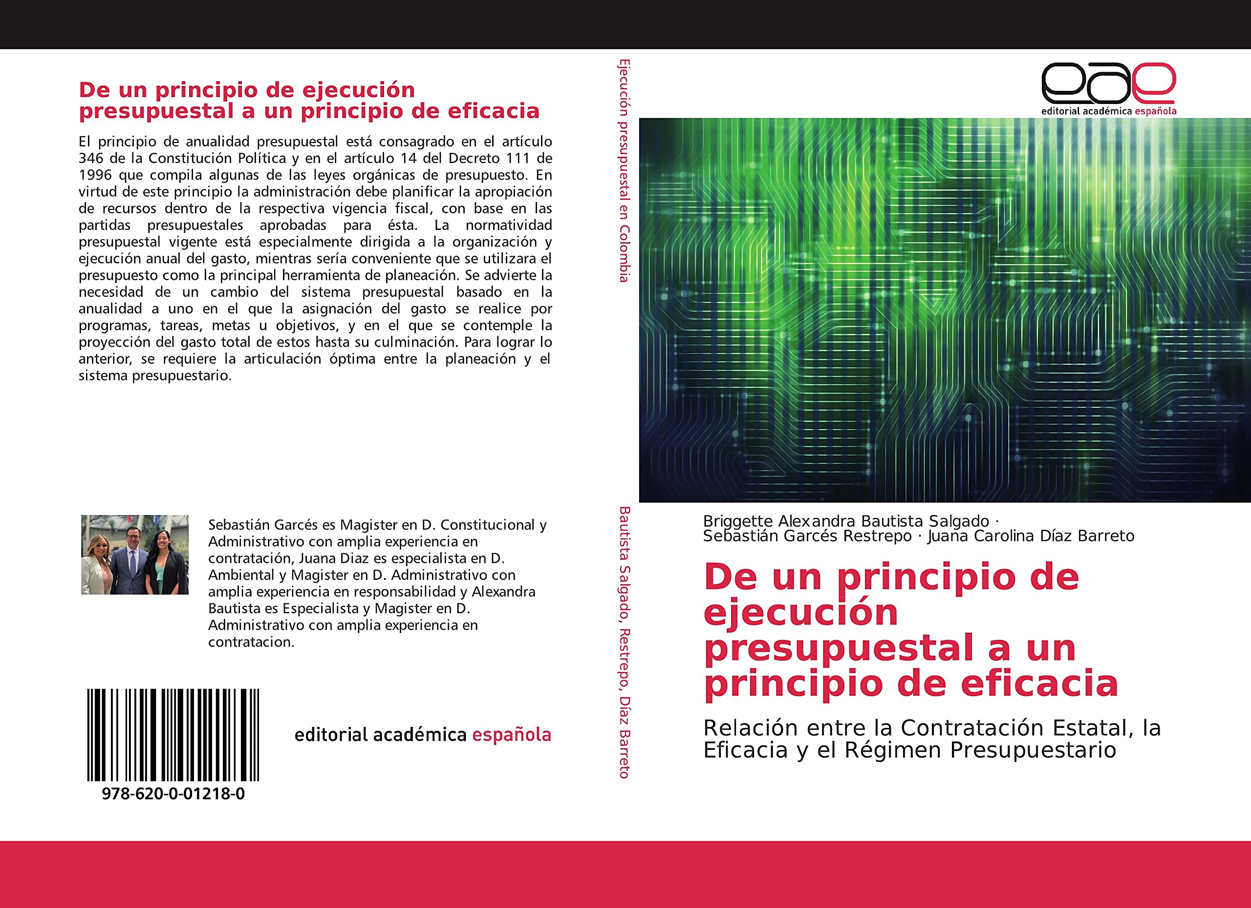 De un principio de ejecución presupuestal a un principio de eficacia: Relación entre la Contratación Estatal, la Eficacia y el Régimen Presupuestario book