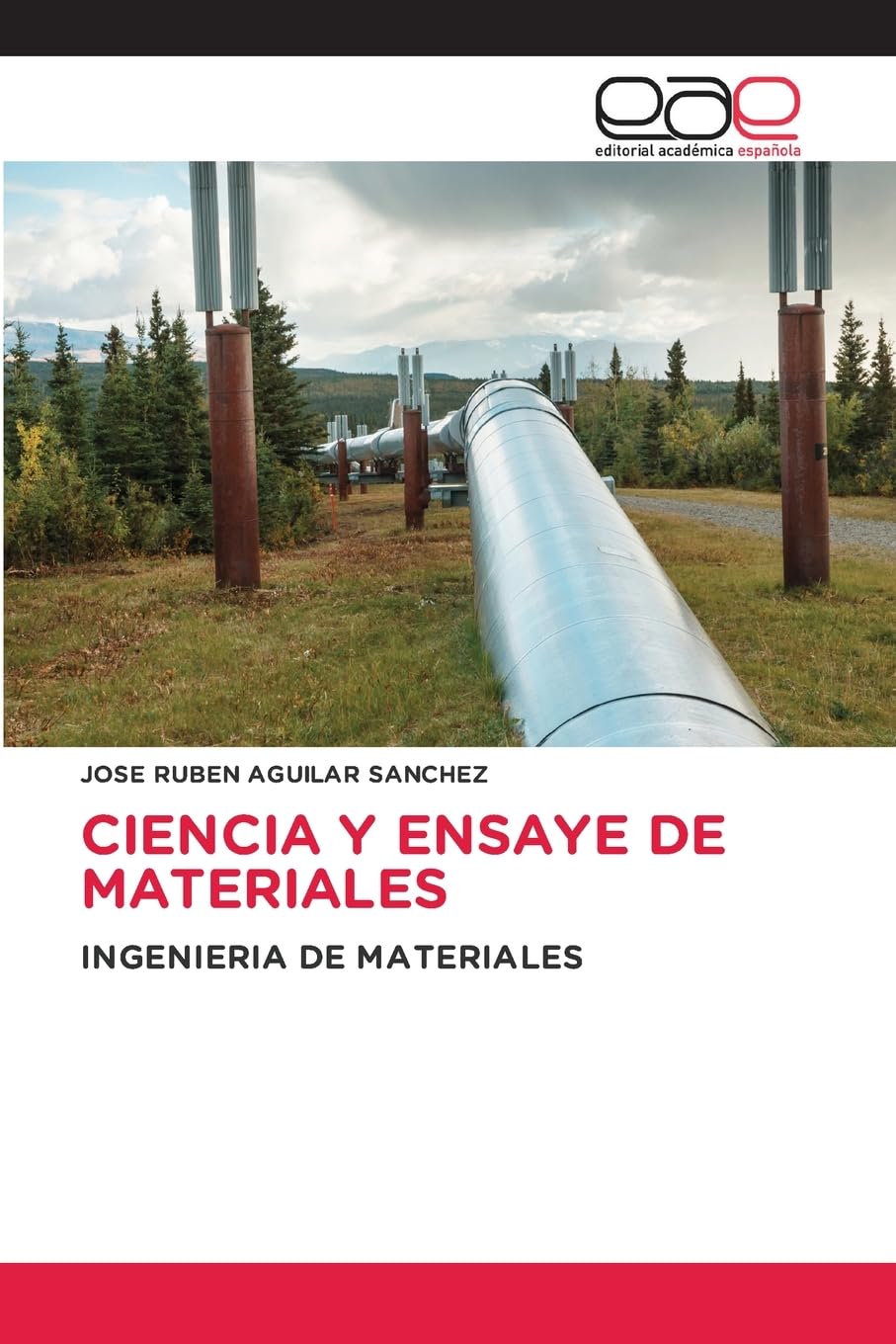 CIENCIA Y ENSAYE DE MATERIALES: INGENIERIA DE MATERIALES Business & Technology