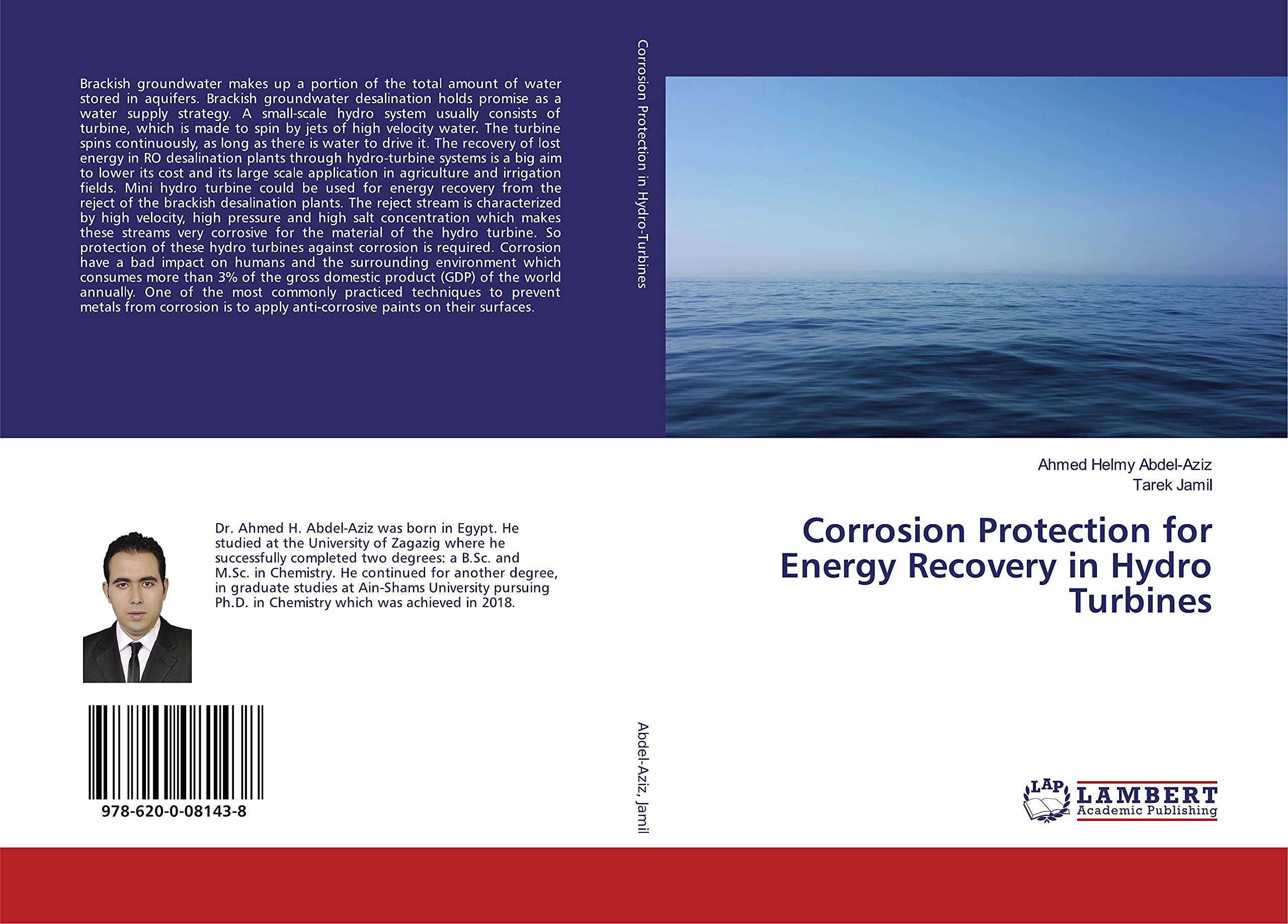 Corrosion Protection for Energy Recovery in Hydro Turbines Business & Technology