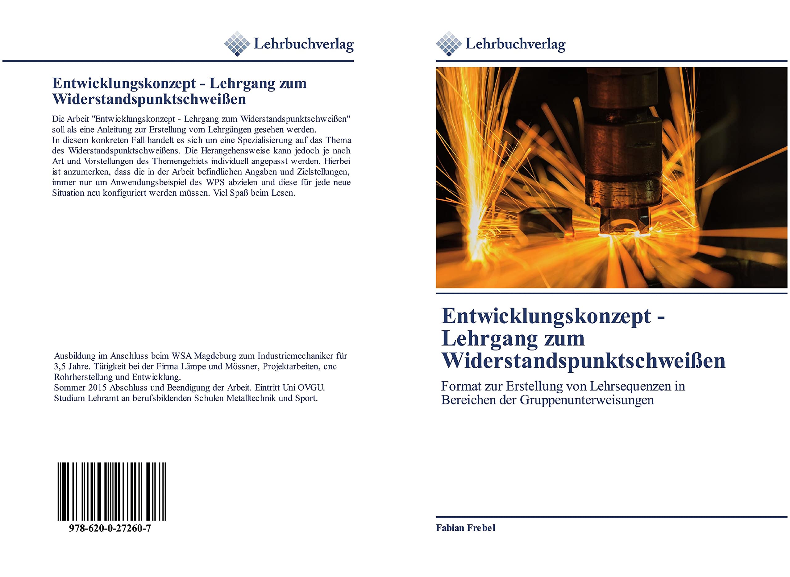Entwicklungskonzept - Lehrgang zum Widerstandspunktschweißen: Format zur Erstellung von Lehrsequenzen in Bereichen der Gruppenunterweisungen Books