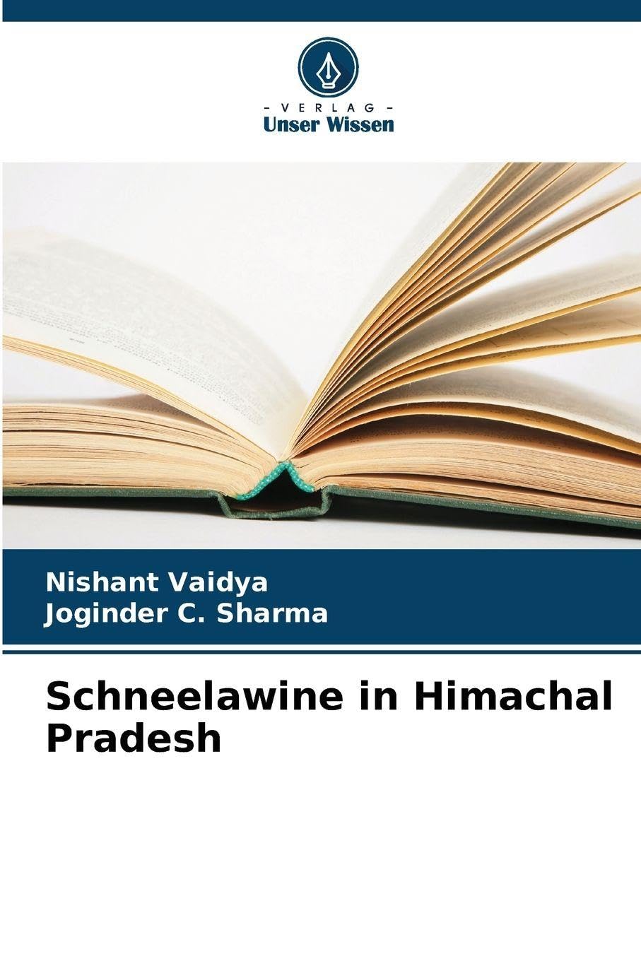 Schneelawine in Himachal Pradesh Geology & Geography