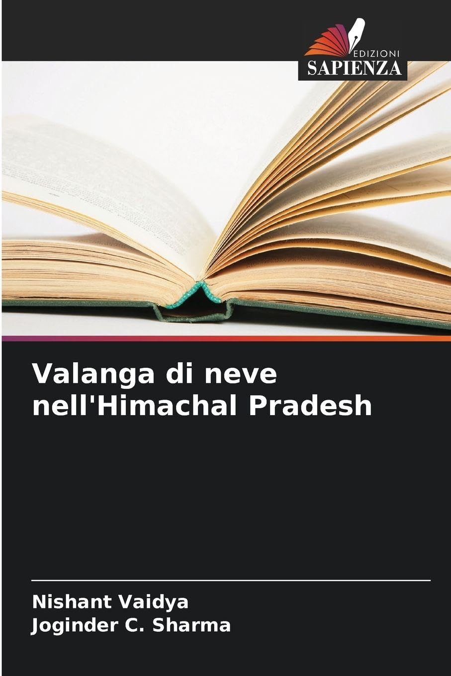 Valanga di neve nell'Himachal Pradesh Geology & Geography