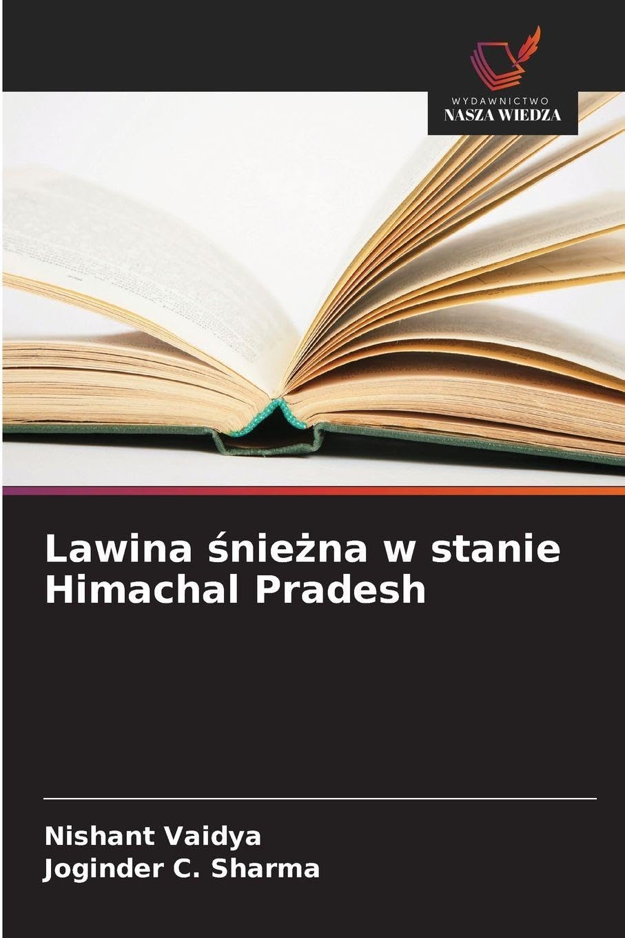 Lawina ¿nie¿na w stanie Himachal Pradesh Geology & Geography