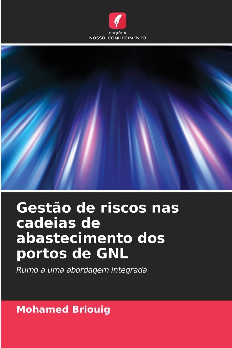 Gestão de riscos nas cadeias de abastecimento dos portos de GNL Law