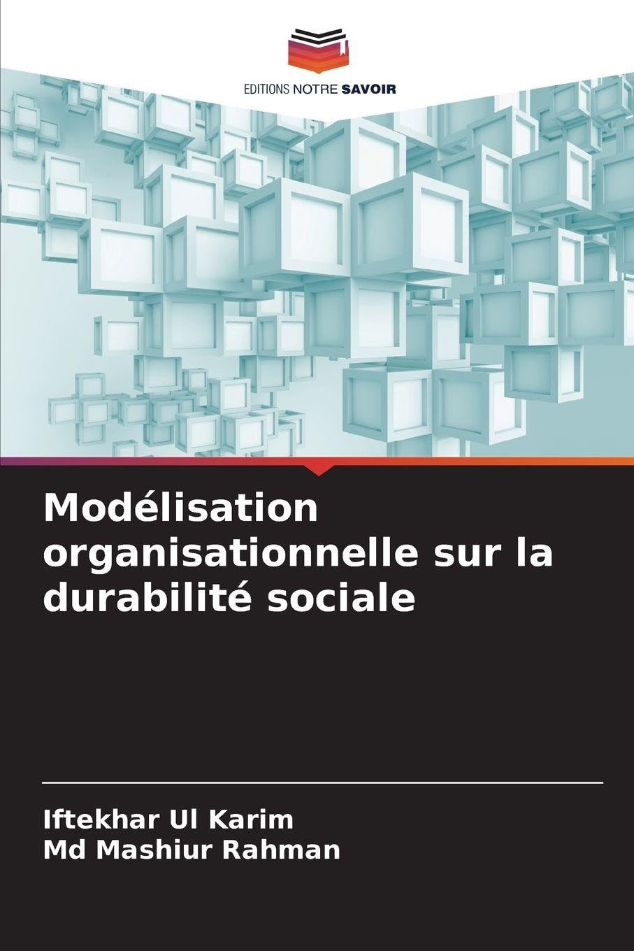 Modélisation organisationnelle sur la durabilité sociale Law
