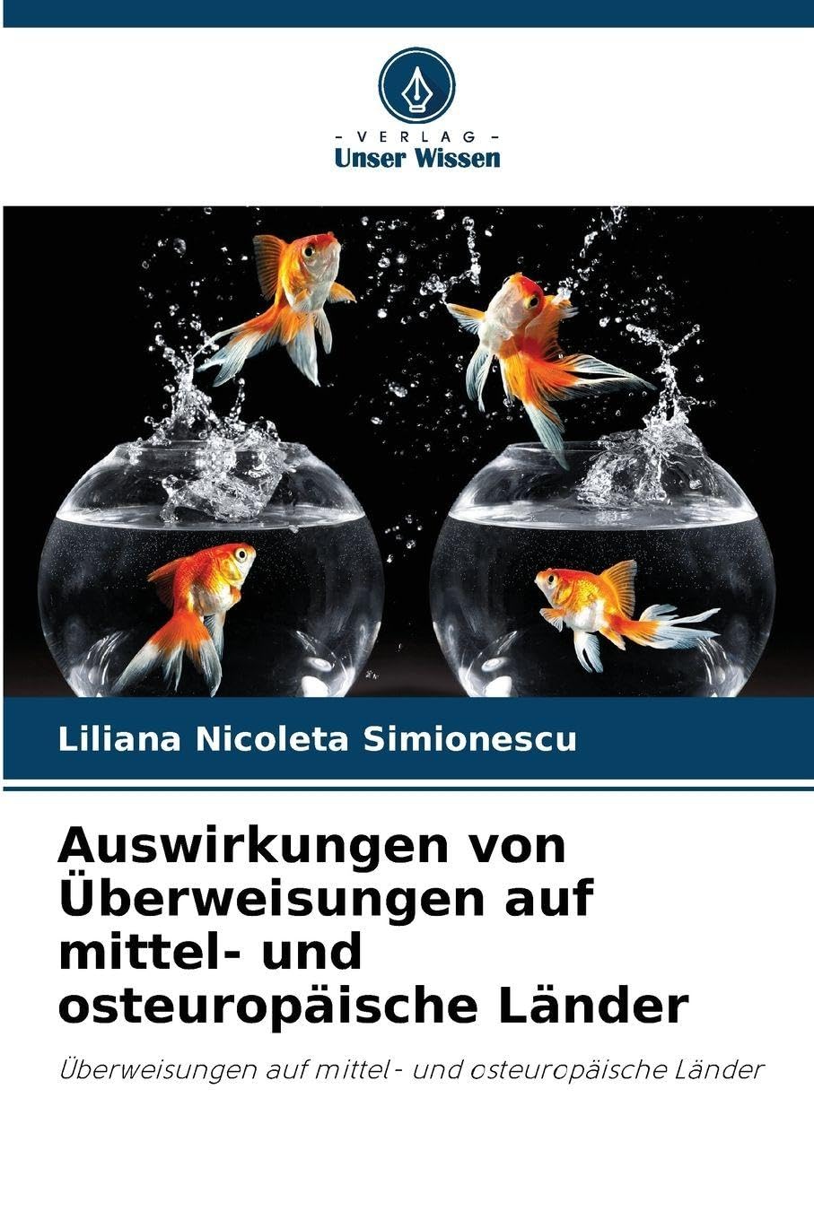 Auswirkungen von Überweisungen auf mittel- und osteuropäische Länder Law