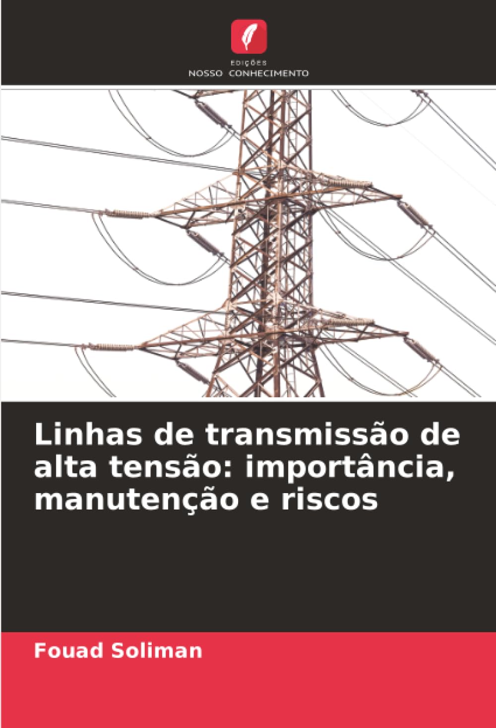 Linhas de transmissão de alta tensão: importância, manutenção e riscos Natural Sciences