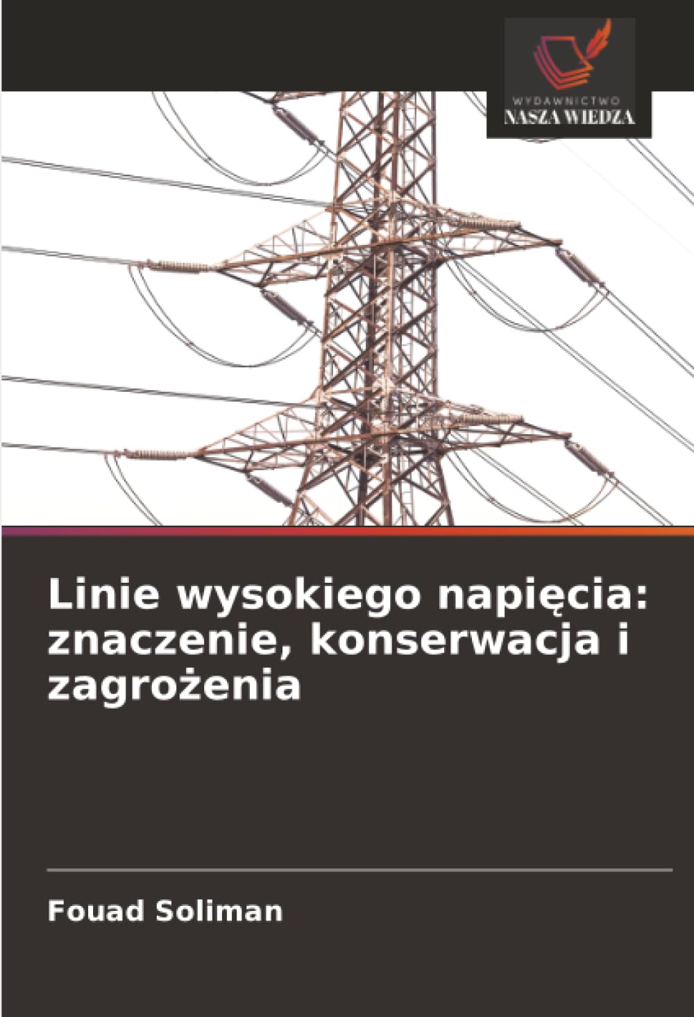 Linie wysokiego napi¿cia: znaczenie, konserwacja i zagro¿enia Natural Sciences