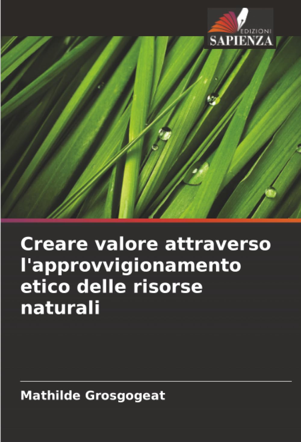 Creare valore attraverso l'approvvigionamento etico delle risorse naturali Law
