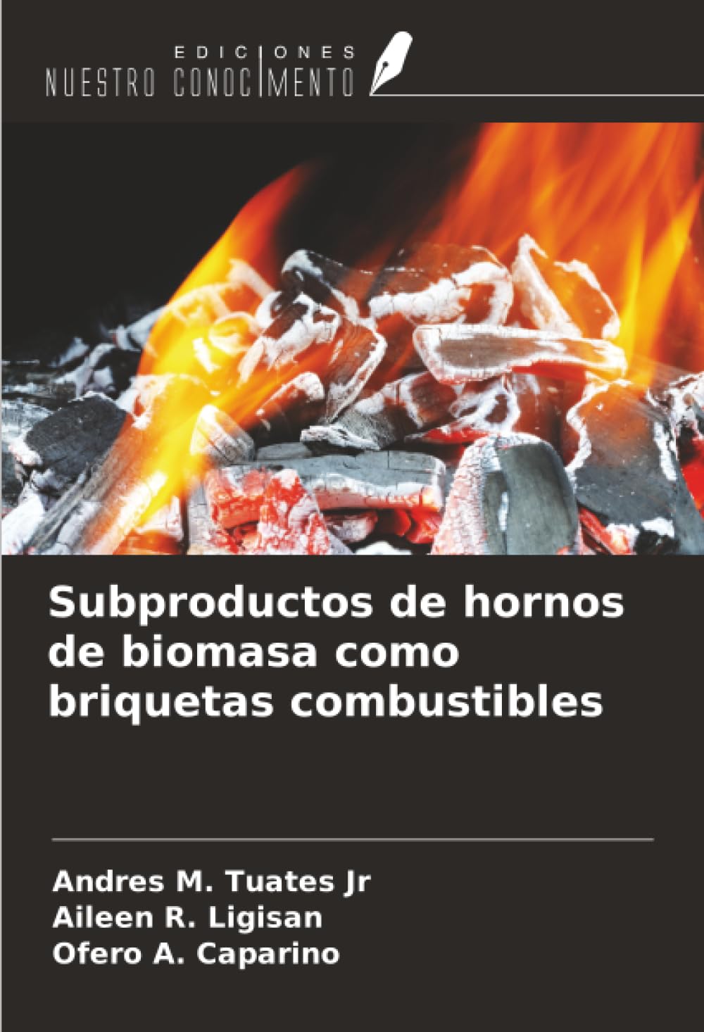 Subproductos de hornos de biomasa como briquetas combustibles Law