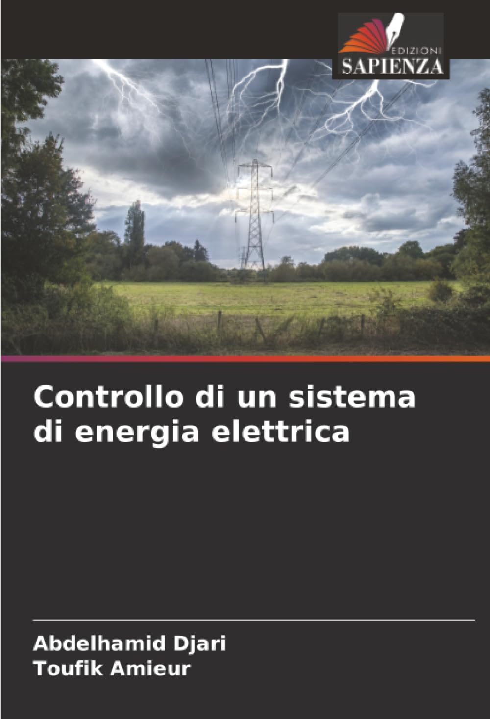 Controllo di un sistema di energia elettrica Natural Sciences
