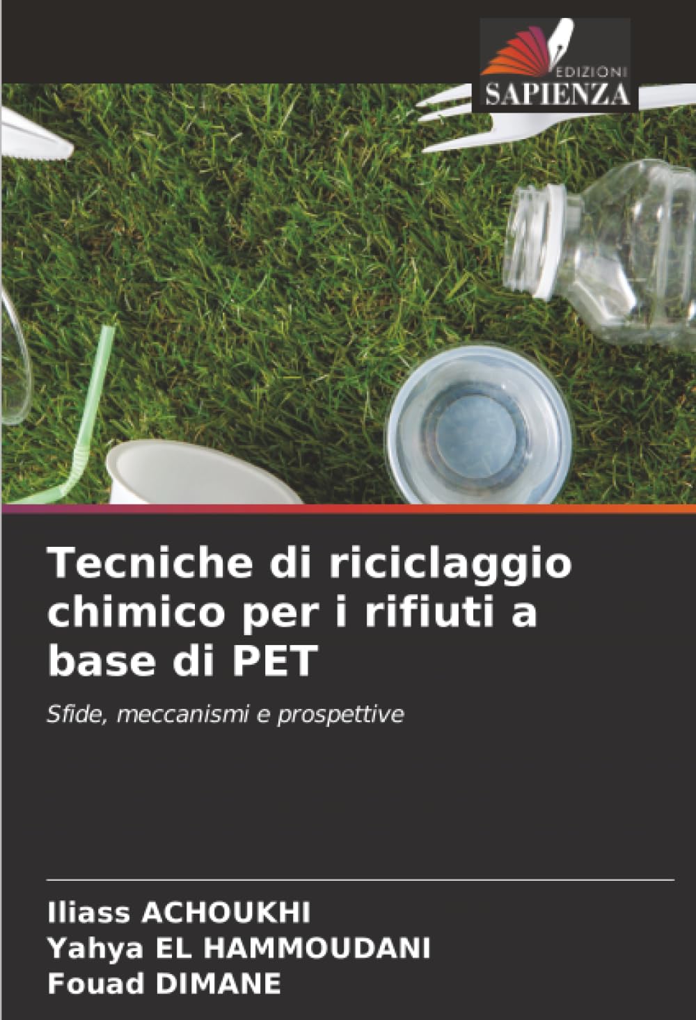 Tecniche di riciclaggio chimico per i rifiuti a base di PET: Sfide, meccanismi e prospettive.DE Books