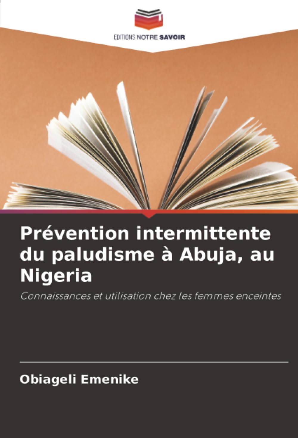 Prévention intermittente du paludisme à Abuja, au Nigeria Medicine