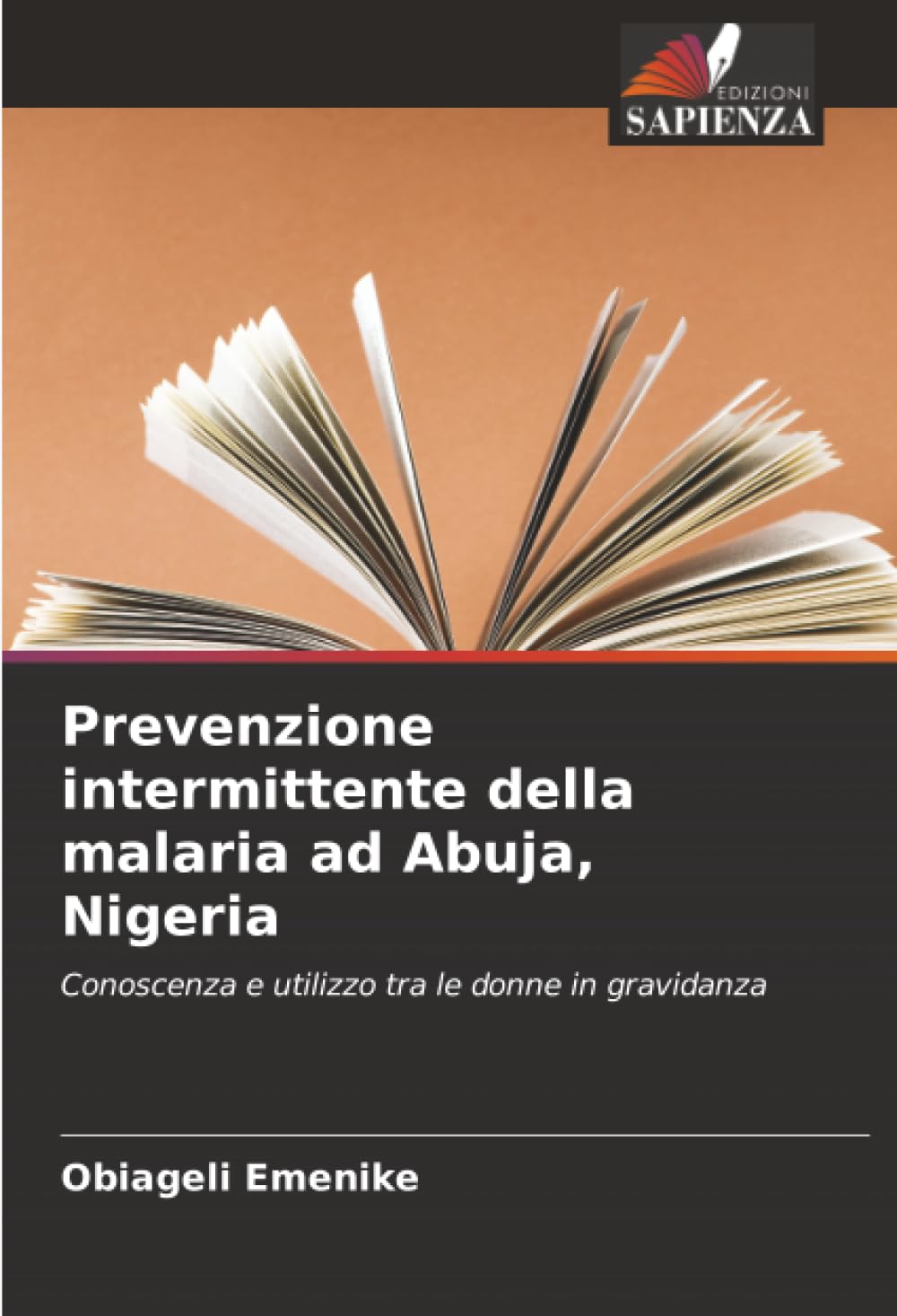 Prevenzione intermittente della malaria ad Abuja, Nigeria Medicine