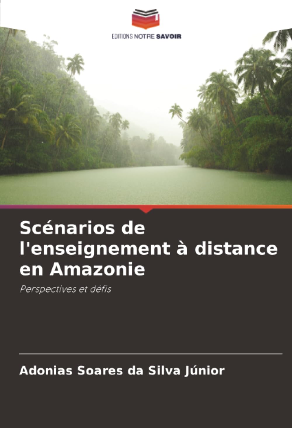 Scénarios de l'enseignement à distance en Amazonie Business, Finance & Career