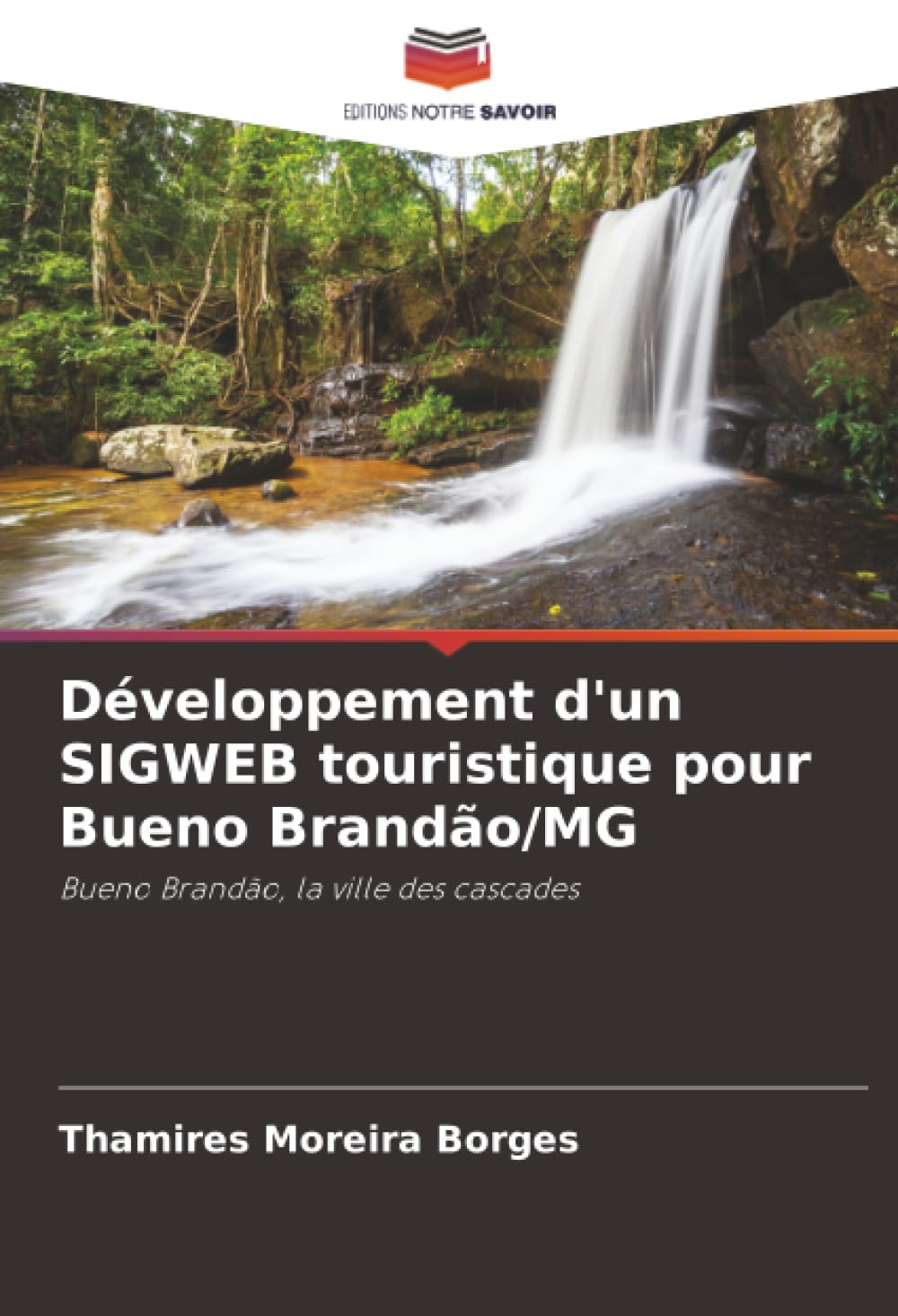 Développement d'un SIGWEB touristique pour Bueno Brandão/MG Business & Technology