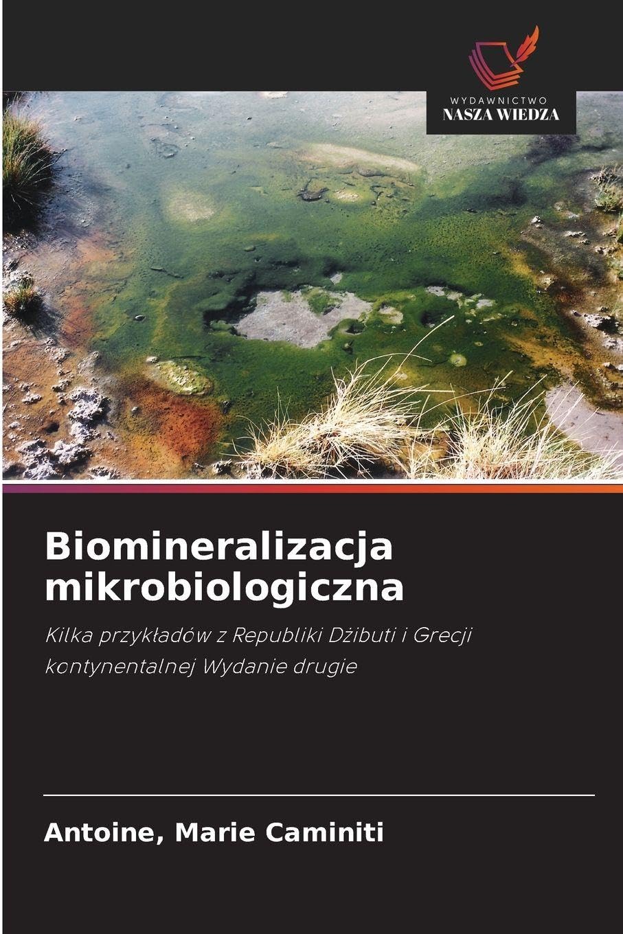 Biomineralizacja mikrobiologiczna Business & Technology