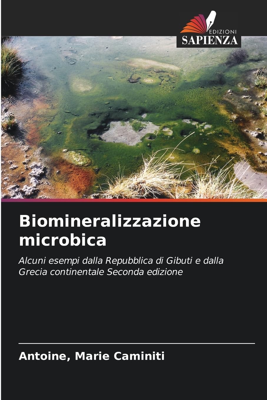 Biomineralizzazione microbica Business & Technology