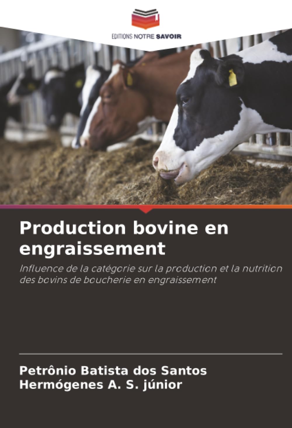 Production bovine en engraissement Medicine