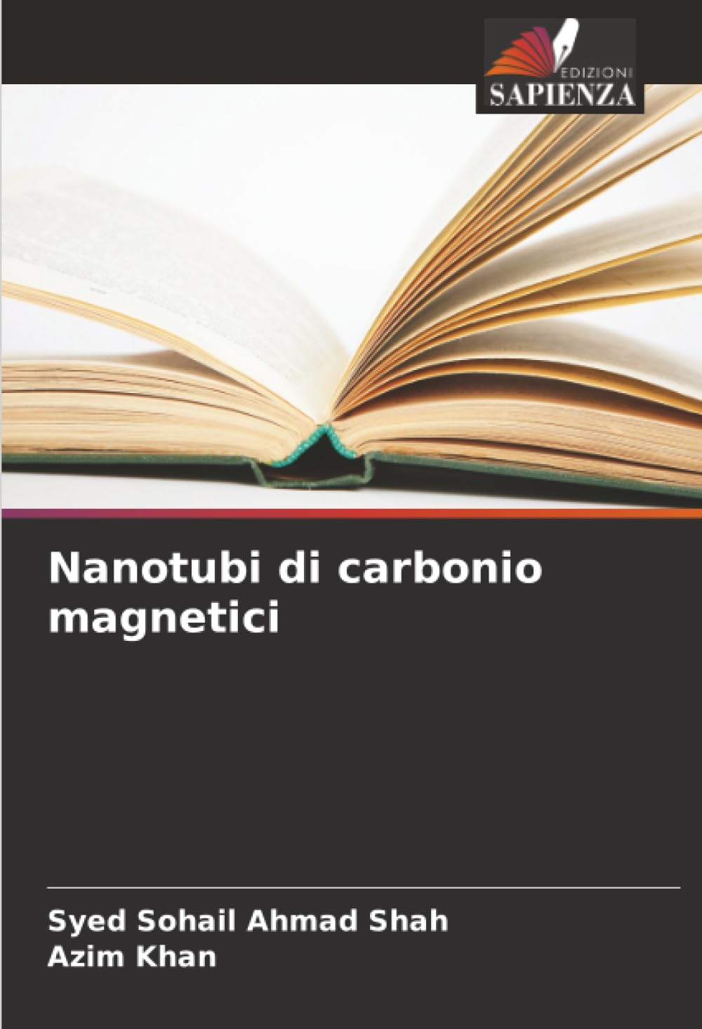 Nanotubi di carbonio magnetici Law