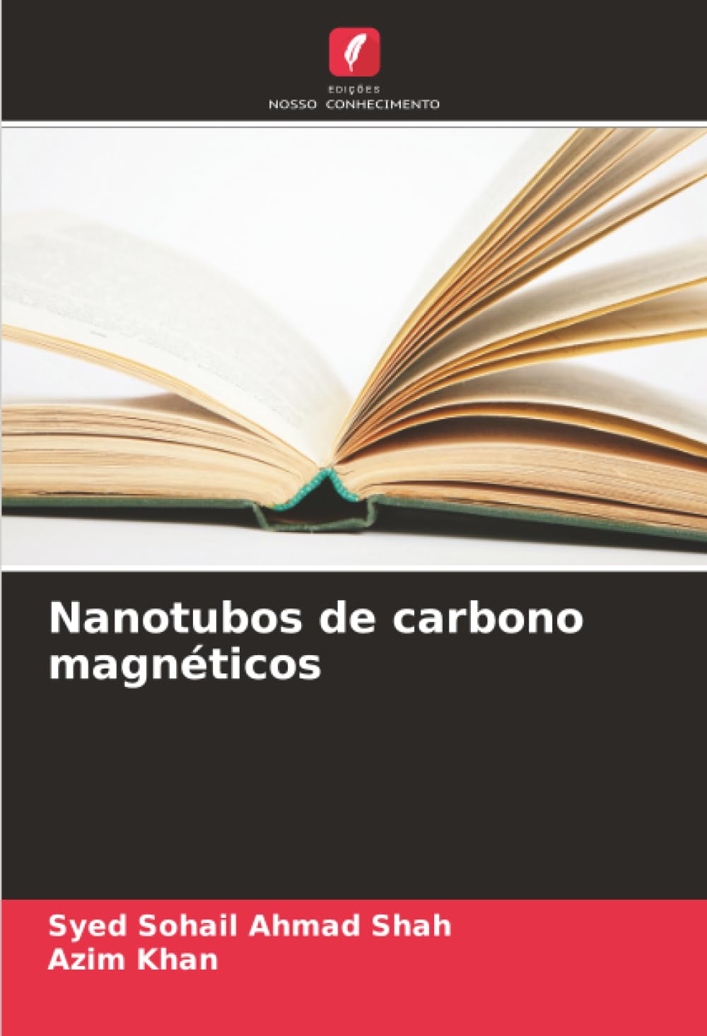 Nanotubos de carbono magnéticos Law