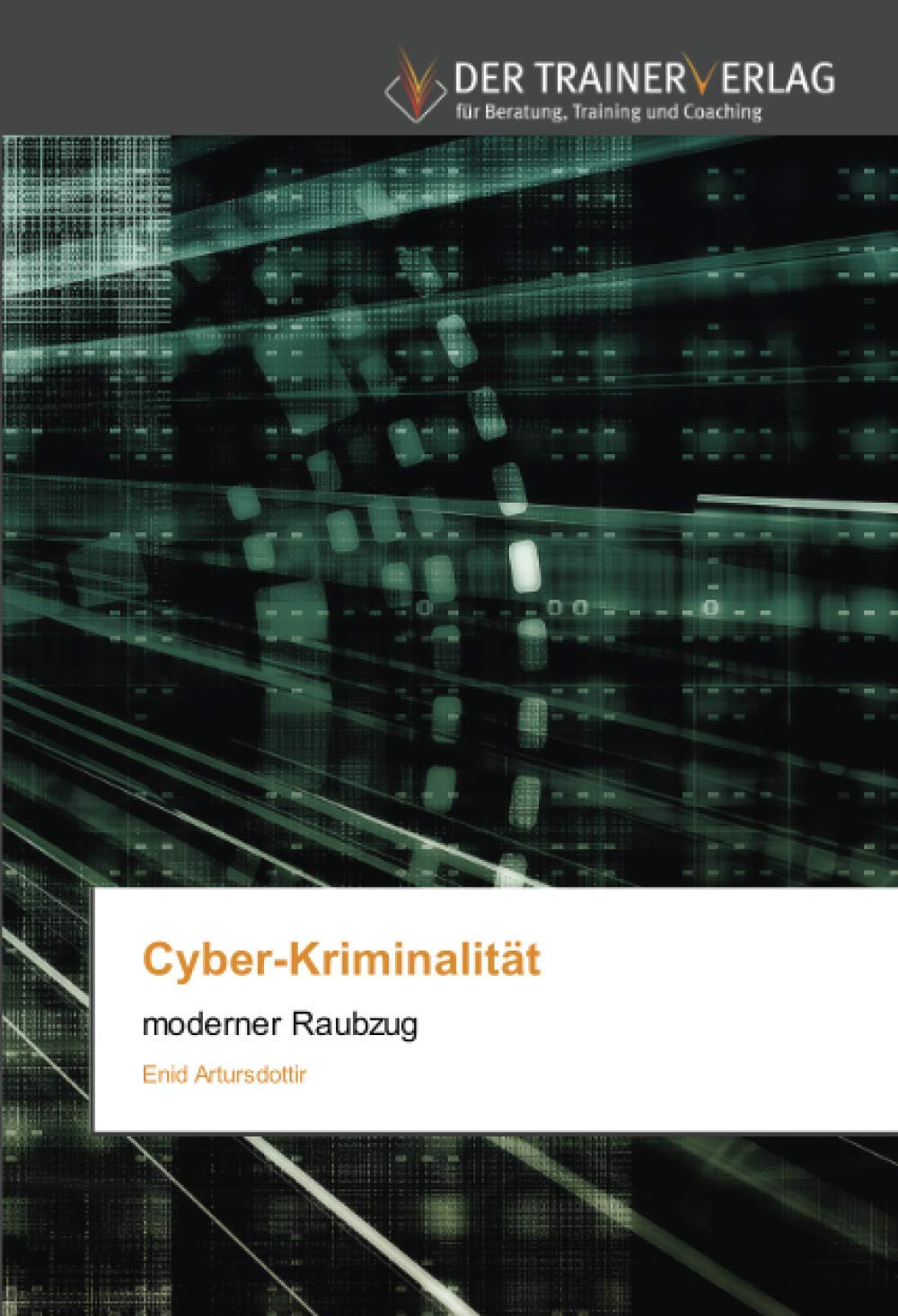 Cyber-Kriminalität Law