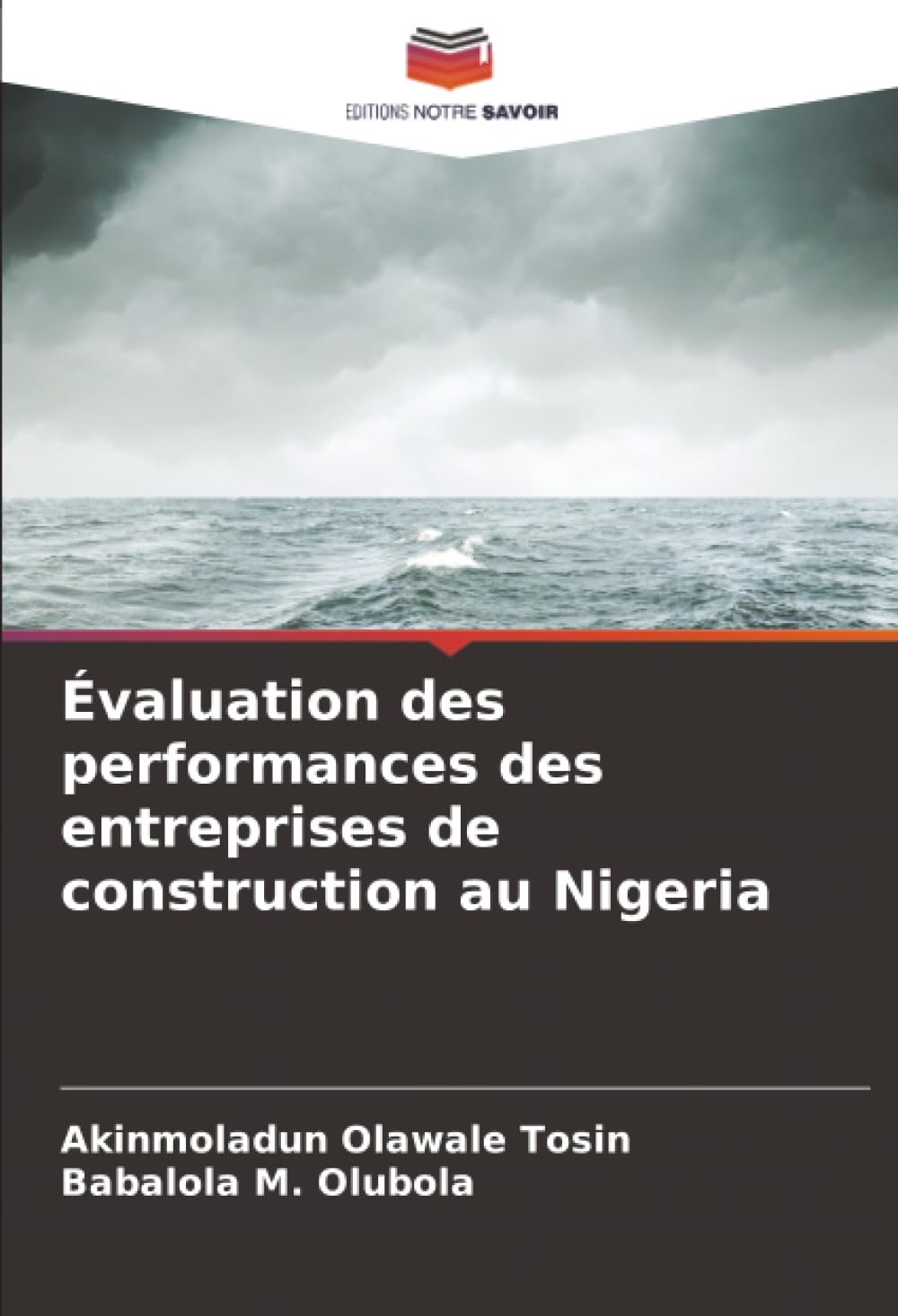 Évaluation des performances des entreprises de construction au Nigeria Business & Technology