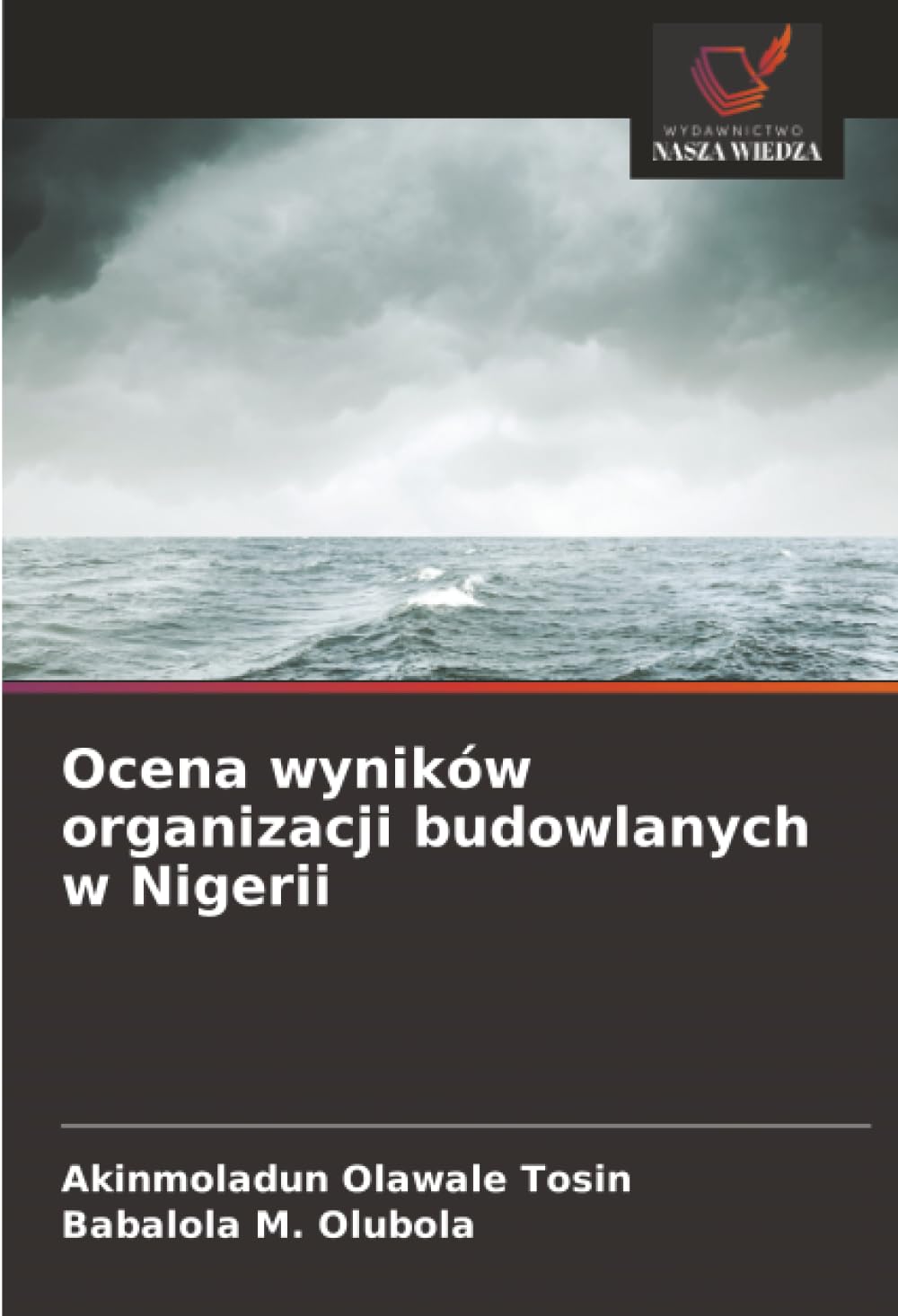 Ocena wyników organizacji budowlanych w Nigerii Business & Technology